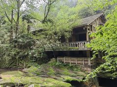 -碧峰峡风景区