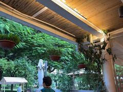 -缘生态云南菜·野生菌庭院餐厅(华侨城店)