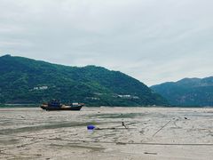 -北岐滩涂