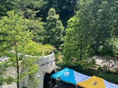 -三鹰之森吉卜力美术馆