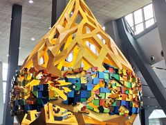 -中央广播电视总台(光华路办公区)