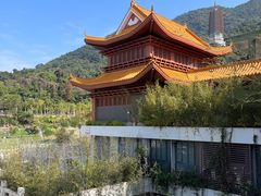 -深圳仙湖植物园