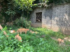 -溱湖八鲜菜馆
