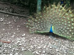 android_upload_pic-藏龙百瀑风景区