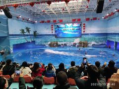 -多彩贵州城极地海洋世界