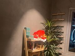 -施奈儿.洗头頭療.按摩SPA.采耳(上梅林店)