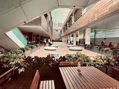 -香港大学