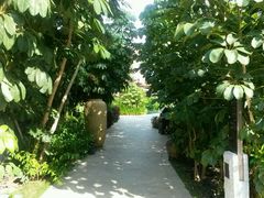 android_upload_pic-三亚湾红树林度假世界(木棉酒店)
