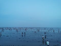 -奉贤海滩