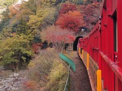 -岚山嵯峨野观光小火车