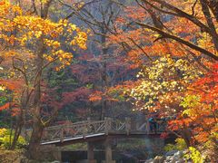 -关门山森林公园