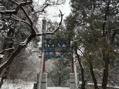 -香山公园