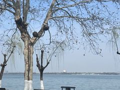 -东湖听涛景区
