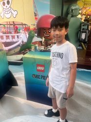 -乐高品牌旗舰店(人民广场店)
