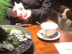 -自由生长植物工作室(深港花卉中心店)