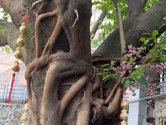 -许鲜生健康生活馆·精细潮菜(奥绅体育公园店)