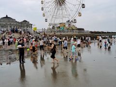 -奉贤海滩