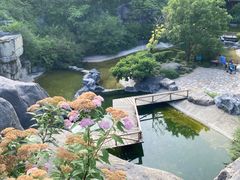 -上海吴淞炮台湾国家湿地公园