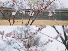 -三里河公园