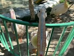 -水上乐园·欢乐世界