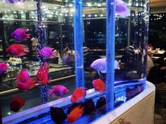 -悦百味·品质川菜(橄榄郡店)