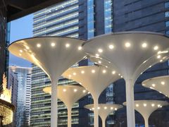 -新荟城(望京店)