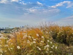 -盘龙城国家考古遗址公园