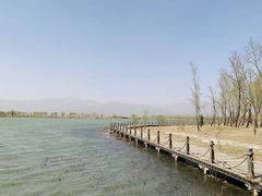 -野鸭湖国家湿地公园