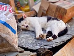 -水峪民俗村