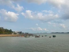 -野狸岛