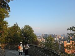 -福道