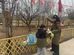 -1982农场