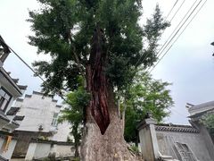 -西溪南古村落