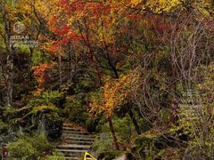 -叠溪松坪沟景区