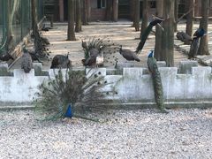 -南京金牛湖风景区