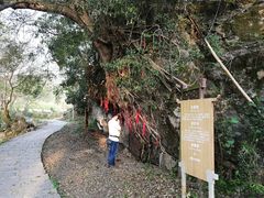 -上甘棠村
