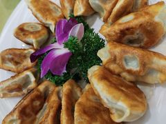 煎饺-清真·三德隆饭庄(桥梓口店)