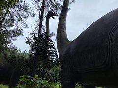 -佛冈森波拉度假区