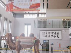 -敦煌莫高国际机场