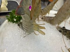 -牛天下·牛肉·海鲜·打边炉·融合菜