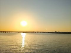 -宝安西湾红树林湿地公园