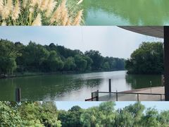 -中国湿地博物馆