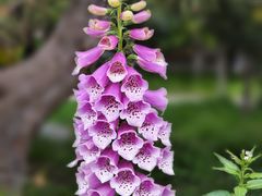 -宣武艺园