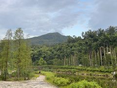 -梧桐山风景名胜区