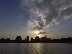 -莲花池公园