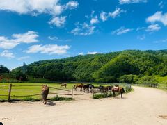 -大水川景区