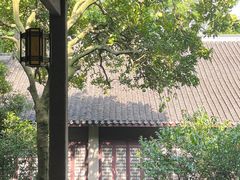 -西湖风景区-江洋畈生态公园