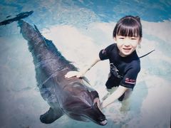 -新加坡水上探险乐园