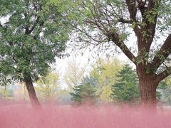 -汉长安城未央宫国家考古遗址公园