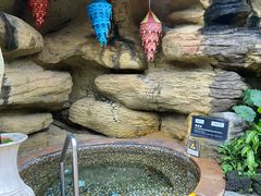 -海口观澜湖火山温泉谷